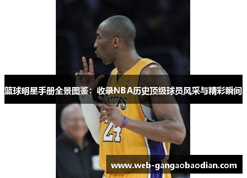 篮球明星手册全景图鉴：收录NBA历史顶级球员风采与精彩瞬间